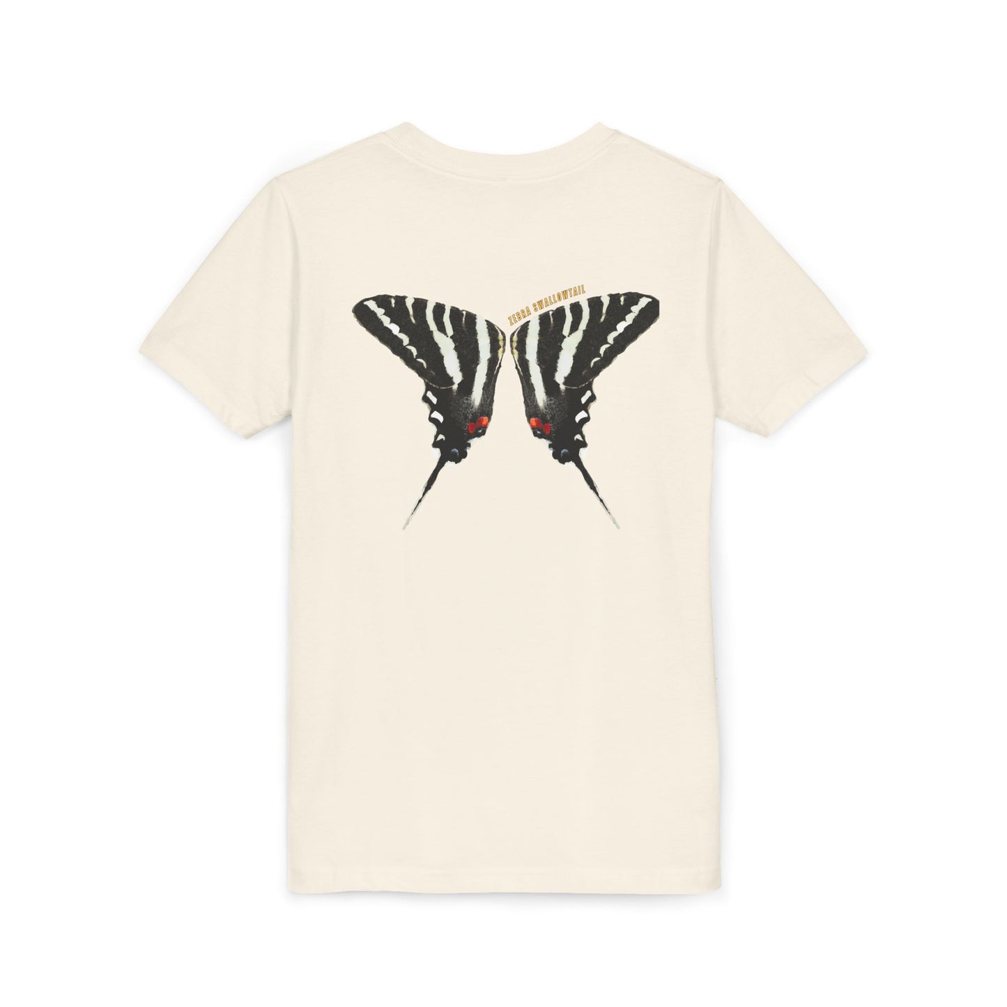 Kids for Ecology | Zebra Swallowtail wings