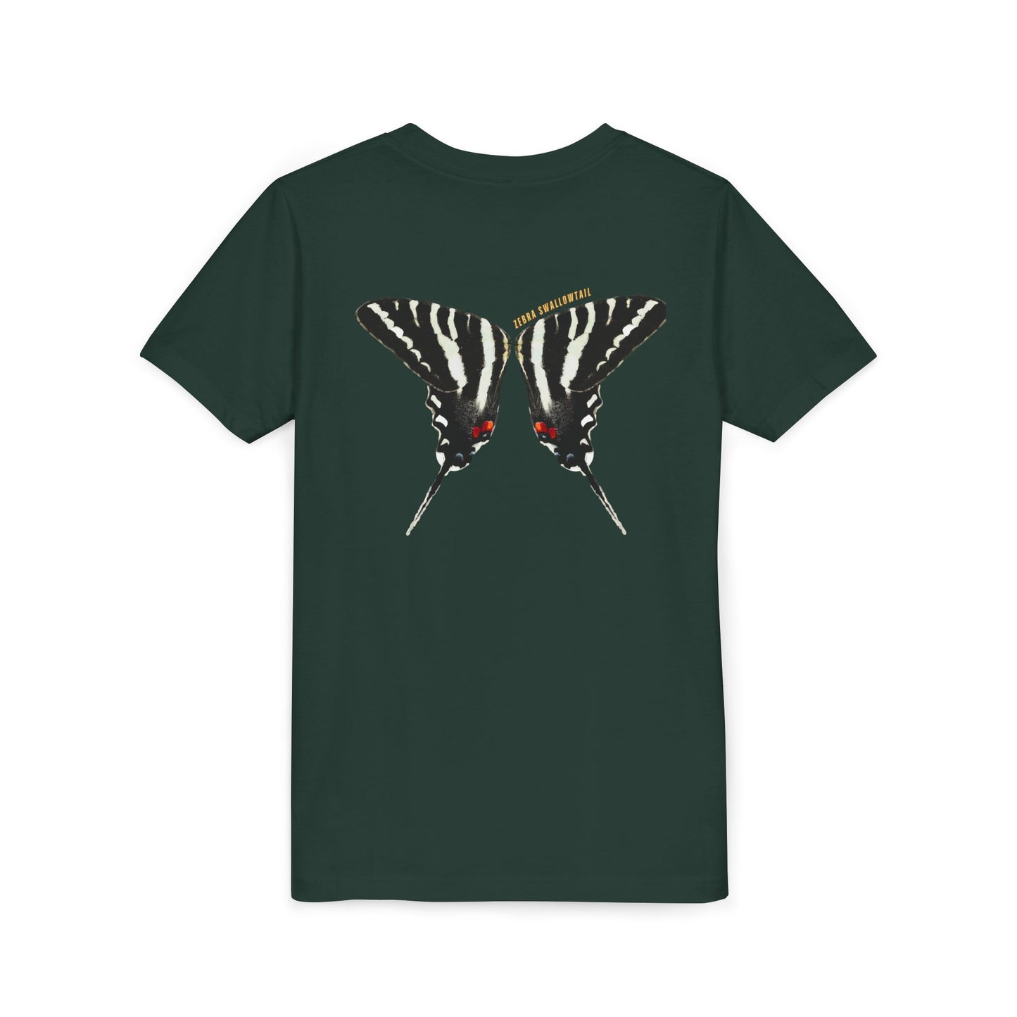 Kids for Ecology | Zebra Swallowtail wings