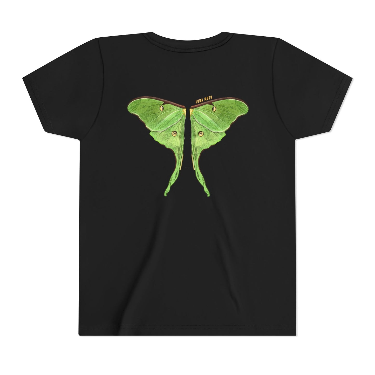 Kids for Ecology | Luna Moth Wings