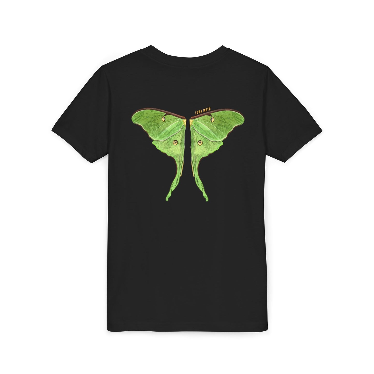Kids for Ecology | Luna Moth Wings