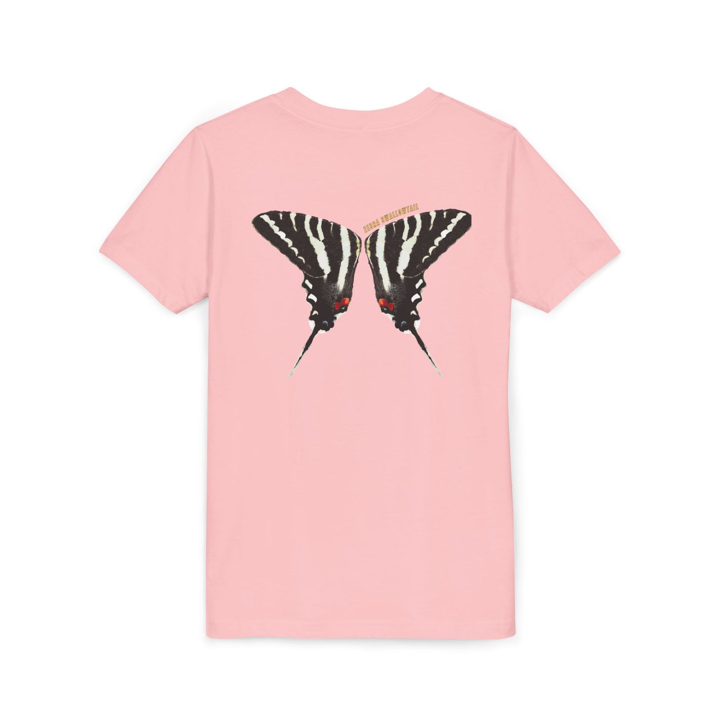 Kids for Ecology | Zebra Swallowtail wings