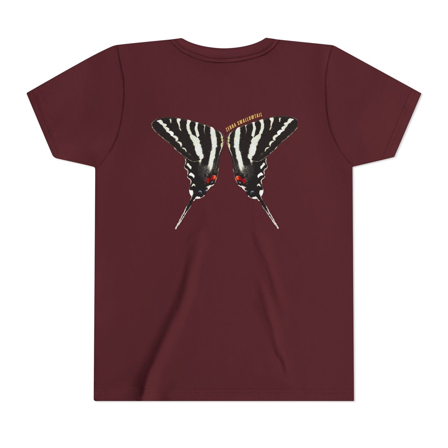 Kids for Ecology | Zebra Swallowtail wings