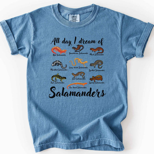 Blue jean "All Day I Dream of Salamanders" t-shirt on Comfort Colors tee, featuring 10 illustrated salamander species including Red, Tiger, Spotted, and Marbled Salamanders, with black script text, nature lover and herpetology gift shirt.
