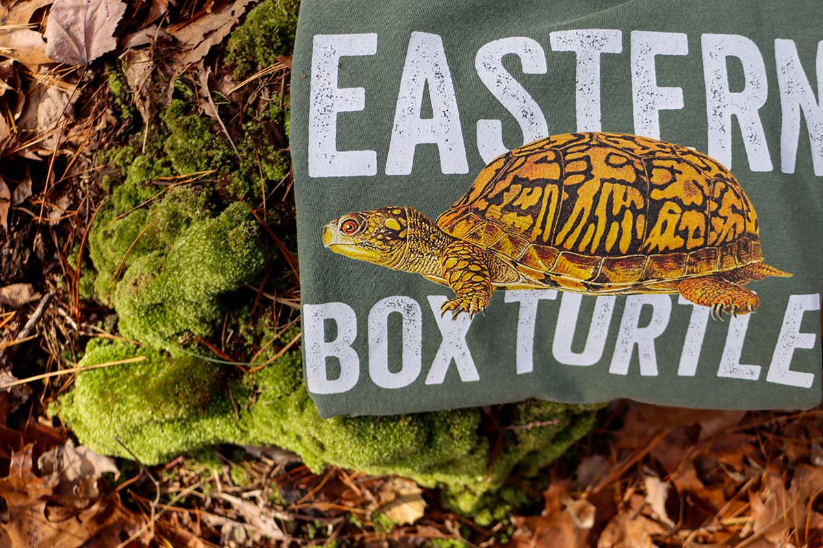 Eastern Box Turtle Tee