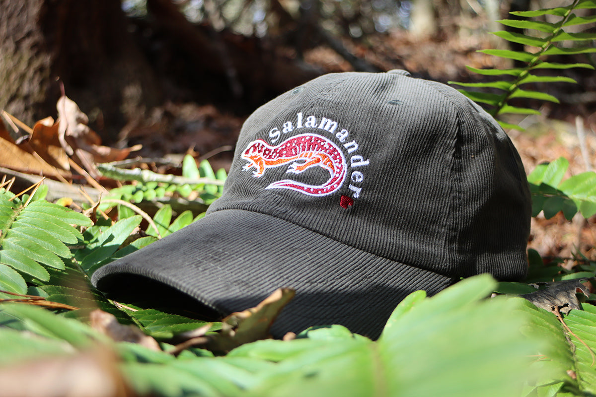 Salamander love hat on ferns outside.