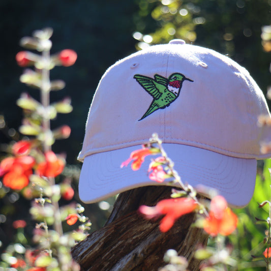 Hummingbird Hat