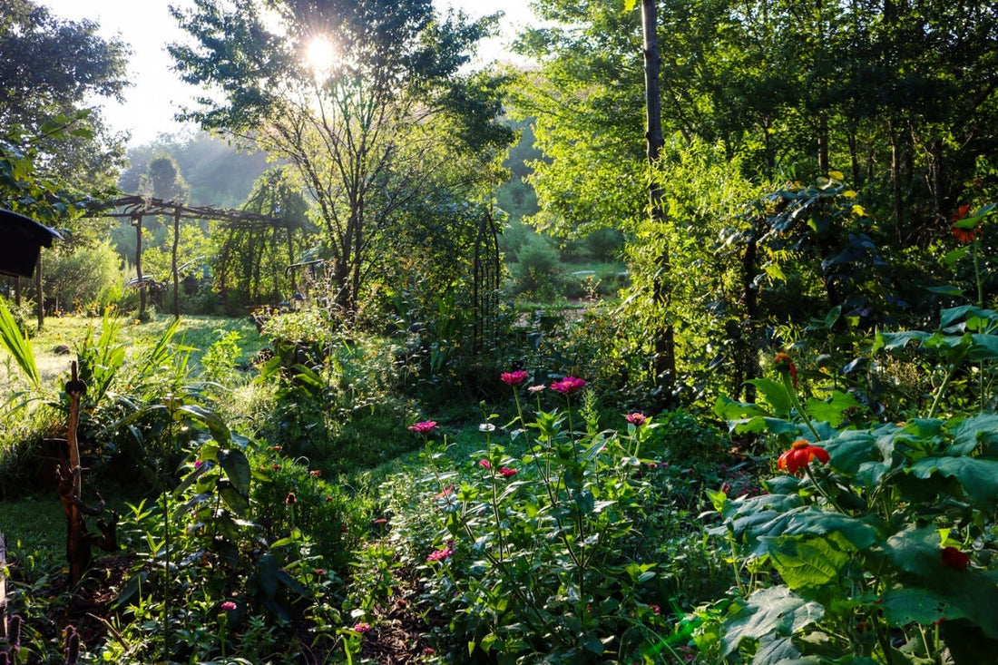 Rethinking What It Means to Have a 'Nice Yard'