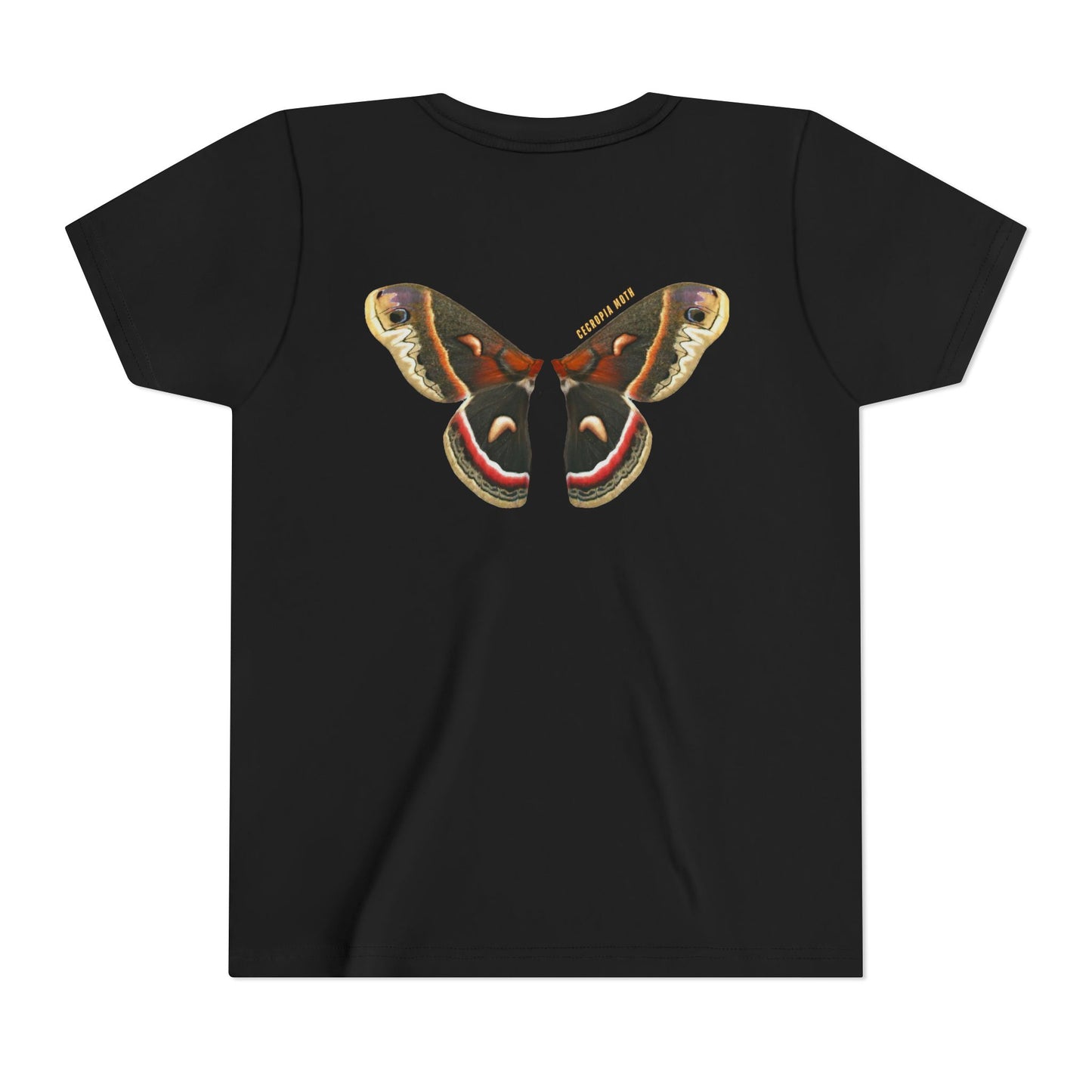 Kids for Ecology |  Cecropia Moth Wings