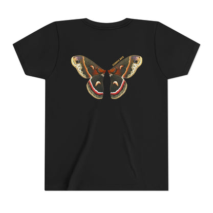 Kids for Ecology |  Cecropia Moth Wings