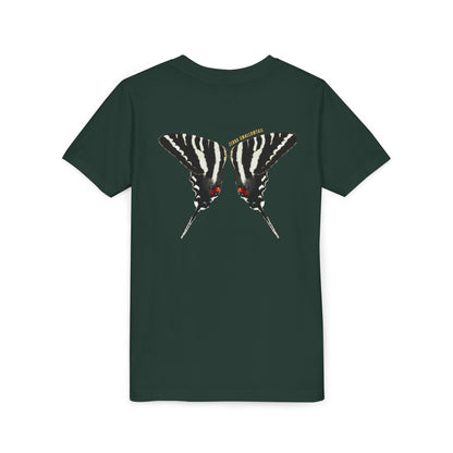 Kids for Ecology | Zebra Swallowtail wings