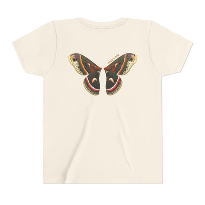 Kids for Ecology |  Cecropia Moth Wings