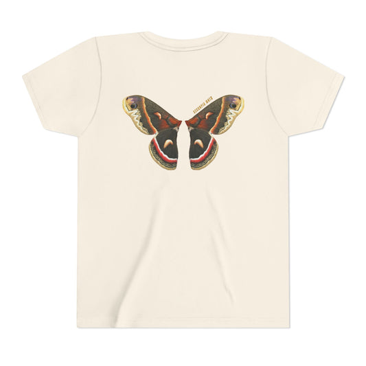 Kids for Ecology |  Cecropia Moth Wings