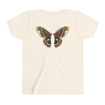 Kids for Ecology |  Cecropia Moth Wings