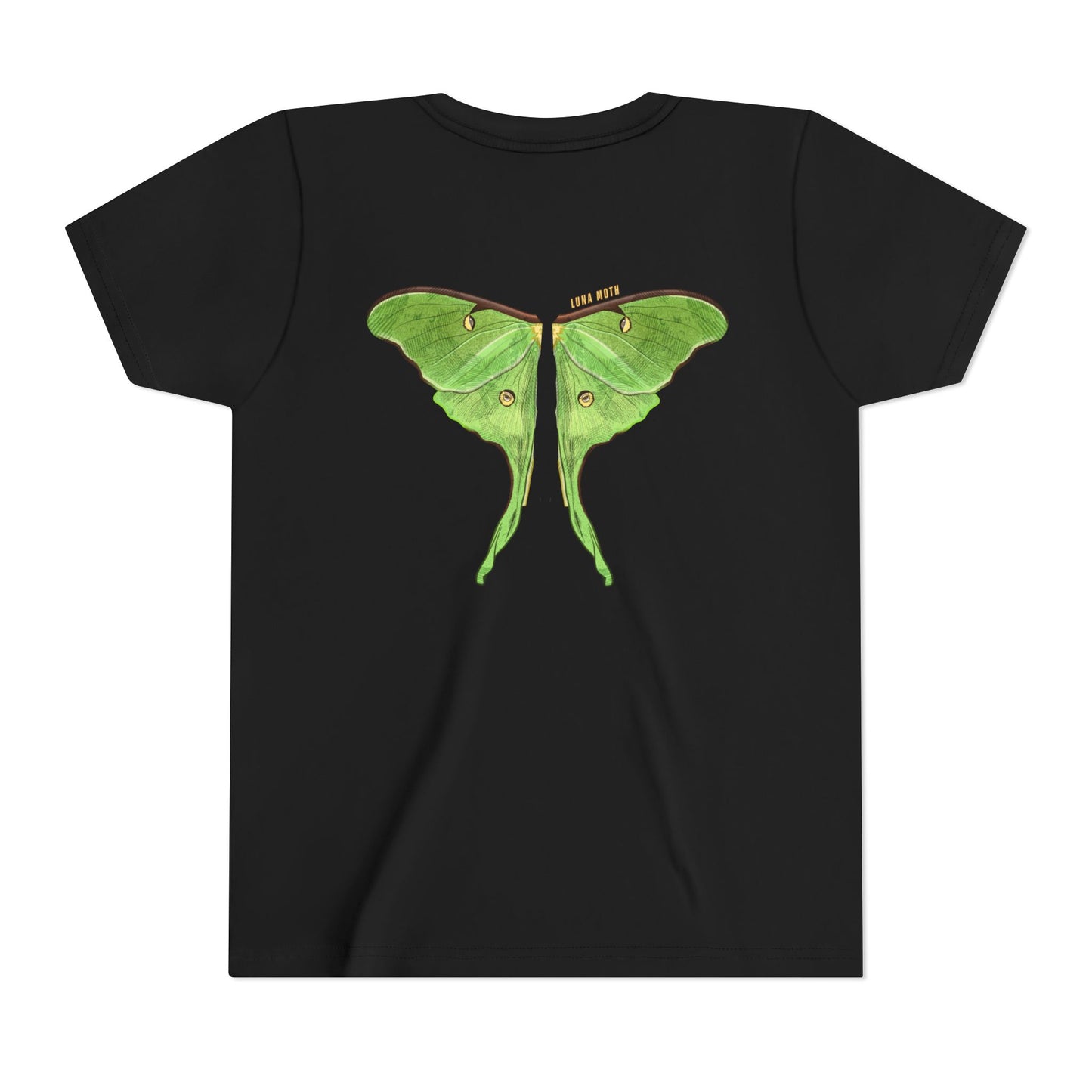 Kids for Ecology | Luna Moth Wings