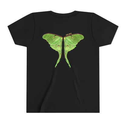 Kids for Ecology | Luna Moth Wings