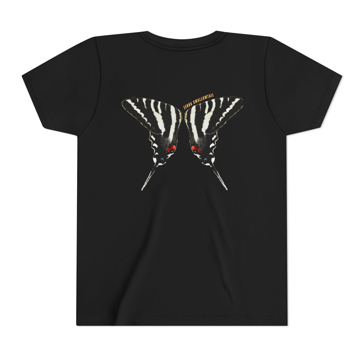 Kids for Ecology | Zebra Swallowtail wings