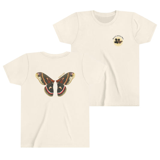 Kids for Ecology |  Cecropia Moth Wings