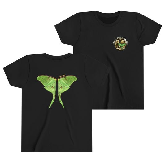 Kids for Ecology | Luna Moth Wings