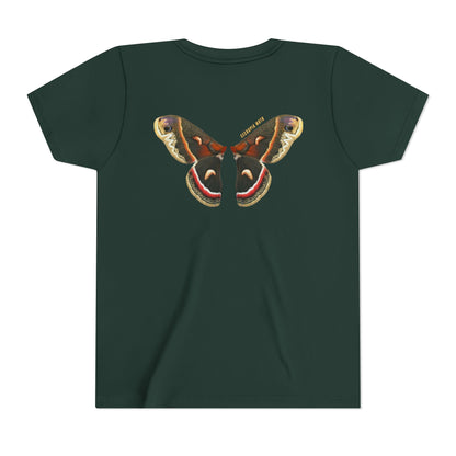 Kids for Ecology |  Cecropia Moth Wings