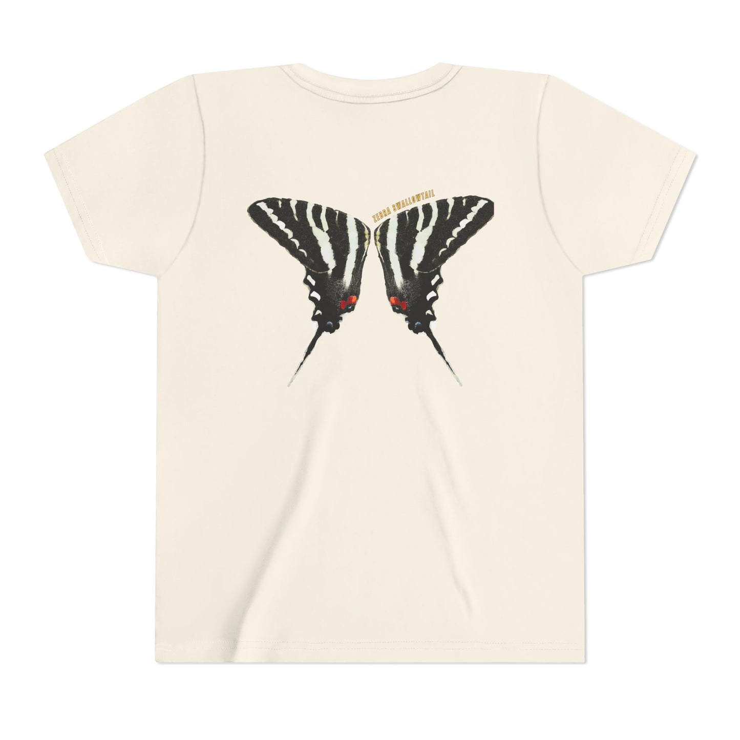 Kids for Ecology | Zebra Swallowtail wings