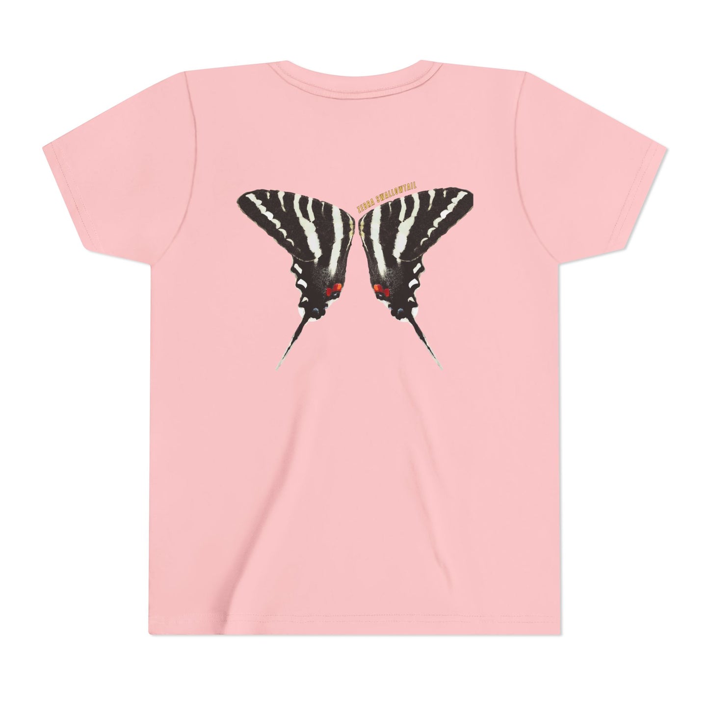 Kids for Ecology | Zebra Swallowtail wings