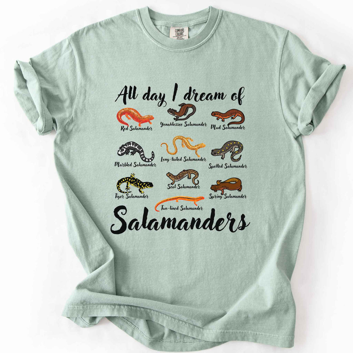 All Day I Dream of Salamanders bay t-shirt on Comfort Colors tee, featuring 10 illustrated salamander species including Red, Tiger, Spotted, and Marbled Salamanders, with black script text, nature lover and herpetology gift shirt.