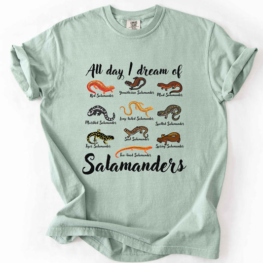 All Day I Dream of Salamanders bay t-shirt on Comfort Colors tee, featuring 10 illustrated salamander species including Red, Tiger, Spotted, and Marbled Salamanders, with black script text, nature lover and herpetology gift shirt.