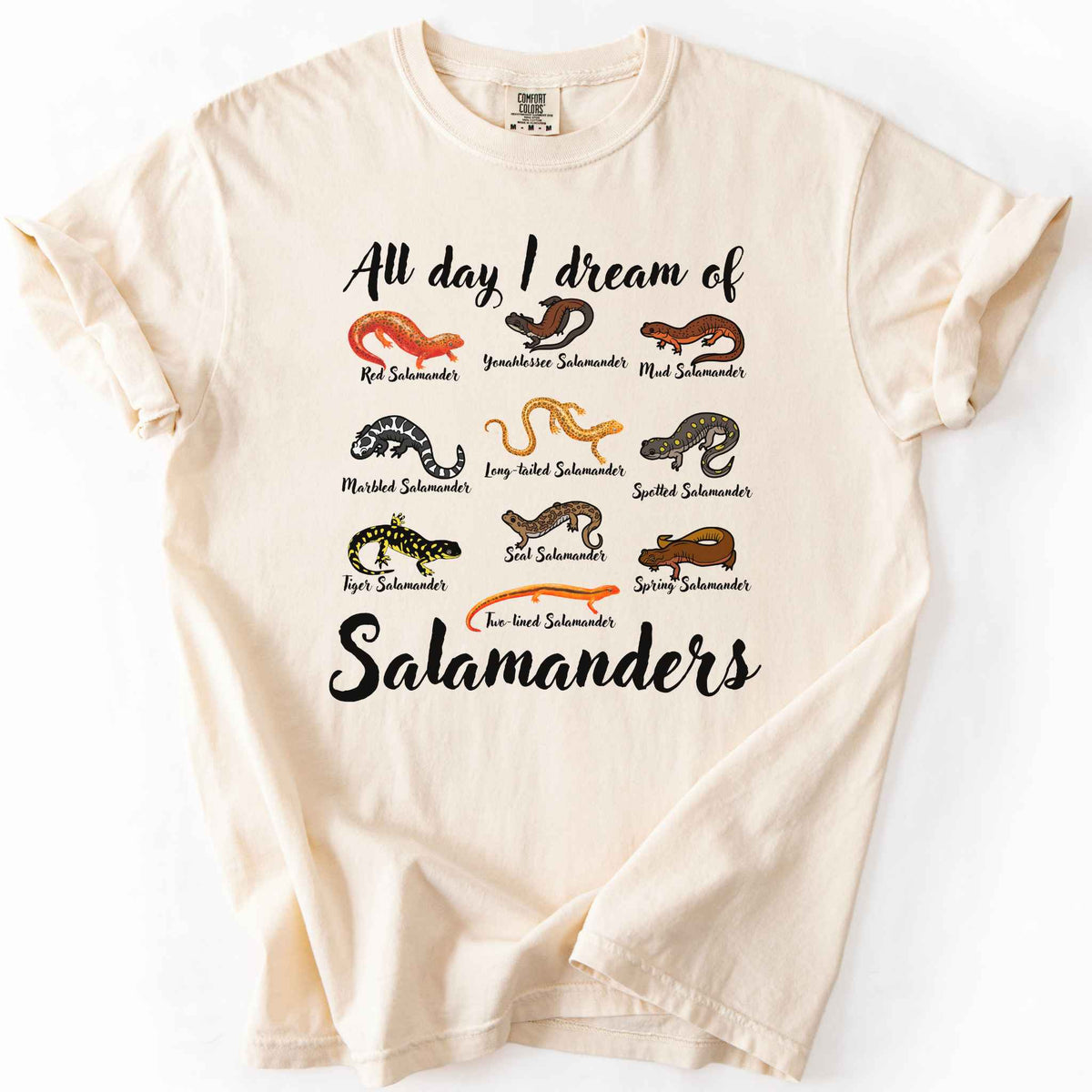 All Day I Dream of Salamanders ivory t-shirt on Comfort Colors tee, featuring 10 illustrated salamander species including Red, Tiger, Spotted, and Marbled Salamanders, with black script text, nature lover and herpetology gift shirt.