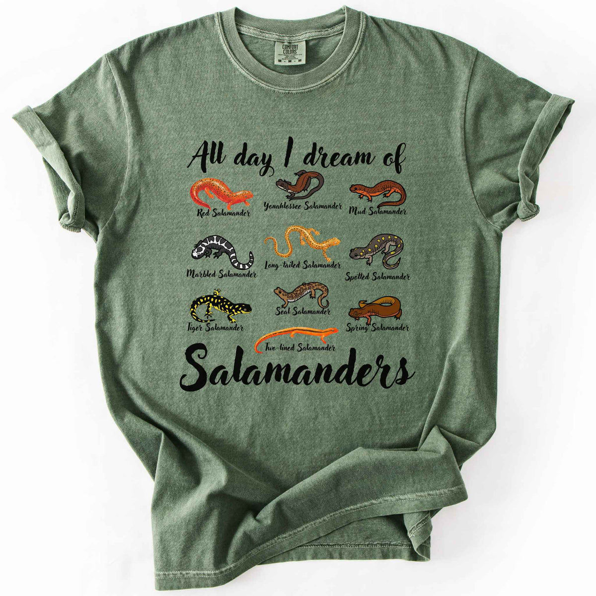All Day I Dream of Salamanders moss t-shirt on Comfort Colors tee, featuring 10 illustrated salamander species including Red, Tiger, Spotted, and Marbled Salamanders, with black script text, nature lover and herpetology gift shirt.
