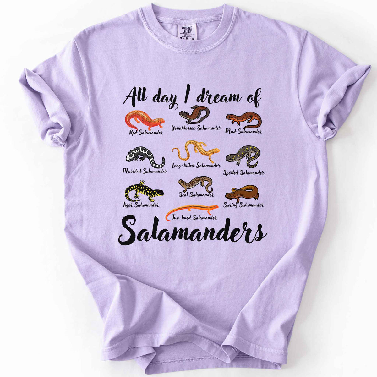 All Day I Dream of Salamanders orchid t-shirt on Comfort Colors tee, featuring 10 illustrated salamander species including Red, Tiger, Spotted, and Marbled Salamanders, with black script text, nature lover and herpetology gift shirt.
