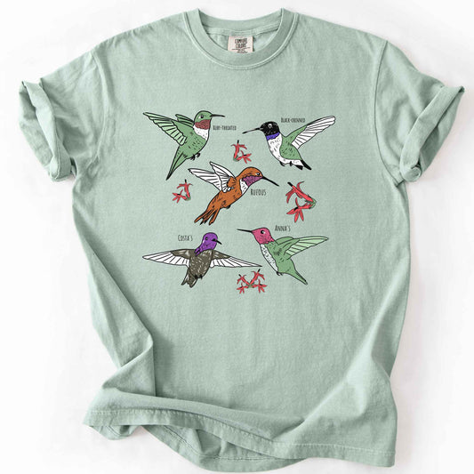 Bay "hummingbirds" t-shirt on Comfort Colors tee, featuring five illustrated hummingbird species including Ruby Throated, Rufous, and Anna's, each labeled and shown among red flowers. Birdwatcher and hummingbird lover gift shirt for wildlife and nature enthusiasts.