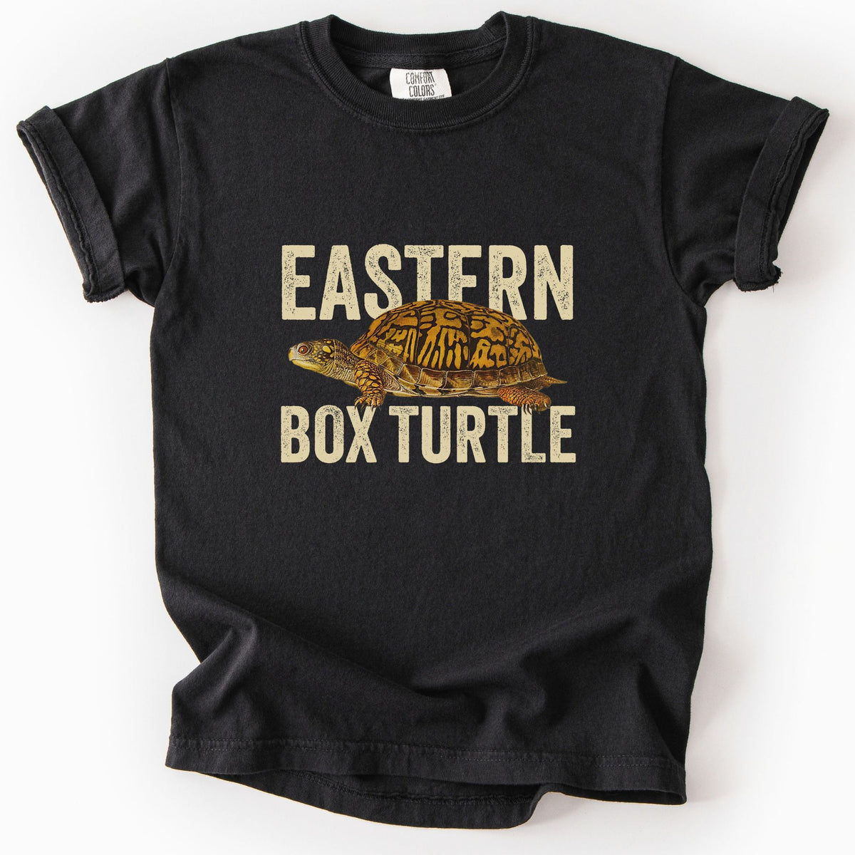 Black "Eastern Box Turtle" kids t-shirt on Comfort Colors tee, featuring a detailed vintage style turtle graphic with cream bold block lettering. Reptile lover and turtle enthusiast gift shirt for wildlife and nature fans.