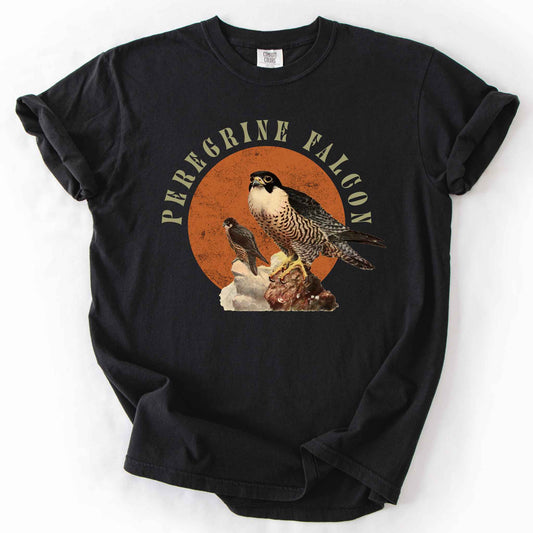 Black "Peregrine Falcon" t-shirt on Comfort Colors tee, featuring vintage style falcon illustration perched on a rock against an orange sun backdrop, with arched cream text. Birdwatcher and raptor lover gift shirt for falconry and wildlife fans.