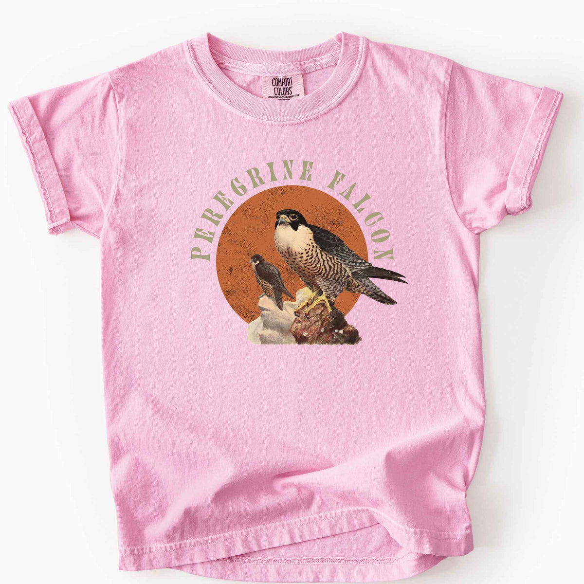 Blossom "Peregrine Falcon" kids t-shirt on Comfort Colors tee, featuring vintage style falcon illustration perched on a rock against an orange sun backdrop, with arched cream text. Birdwatcher and raptor lover gift shirt for falconry and wildlife fans.