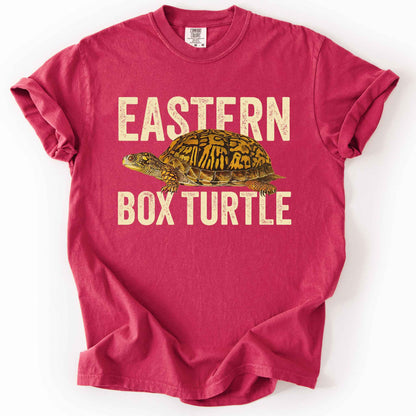 Chilli "Eastern Box Turtle" t-shirt on Comfort Colors tee, featuring a detailed vintage style turtle graphic with cream bold block lettering. Reptile lover and turtle enthusiast gift shirt for wildlife and nature fans.