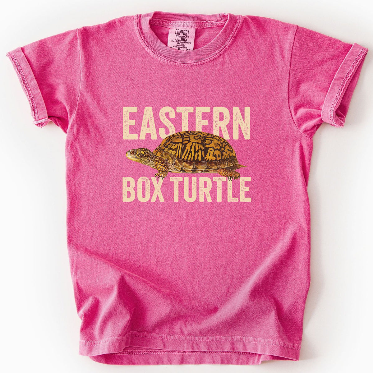 Crunchberry "Eastern Box Turtle" kids t-shirt on Comfort Colors tee, featuring a detailed vintage style turtle graphic with cream bold block lettering. Reptile lover and turtle enthusiast gift shirt for wildlife and nature fans.