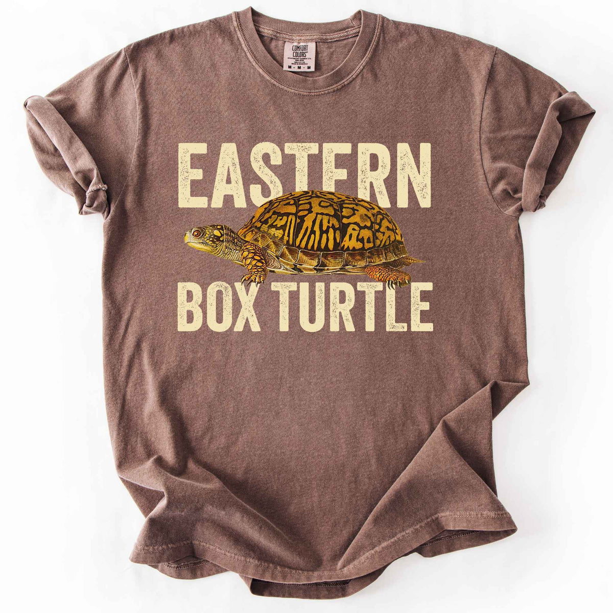 Espresso "Eastern Box Turtle" t-shirt on Comfort Colors tee, featuring a detailed vintage style turtle graphic with cream bold block lettering. Reptile lover and turtle enthusiast gift shirt for wildlife and nature fans.