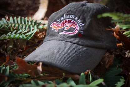 Salamander Love