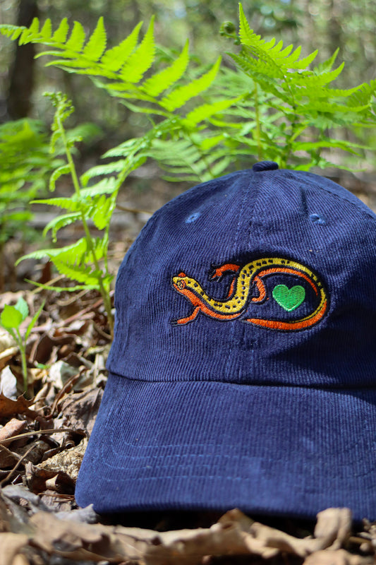 I Love Salamanders Hat