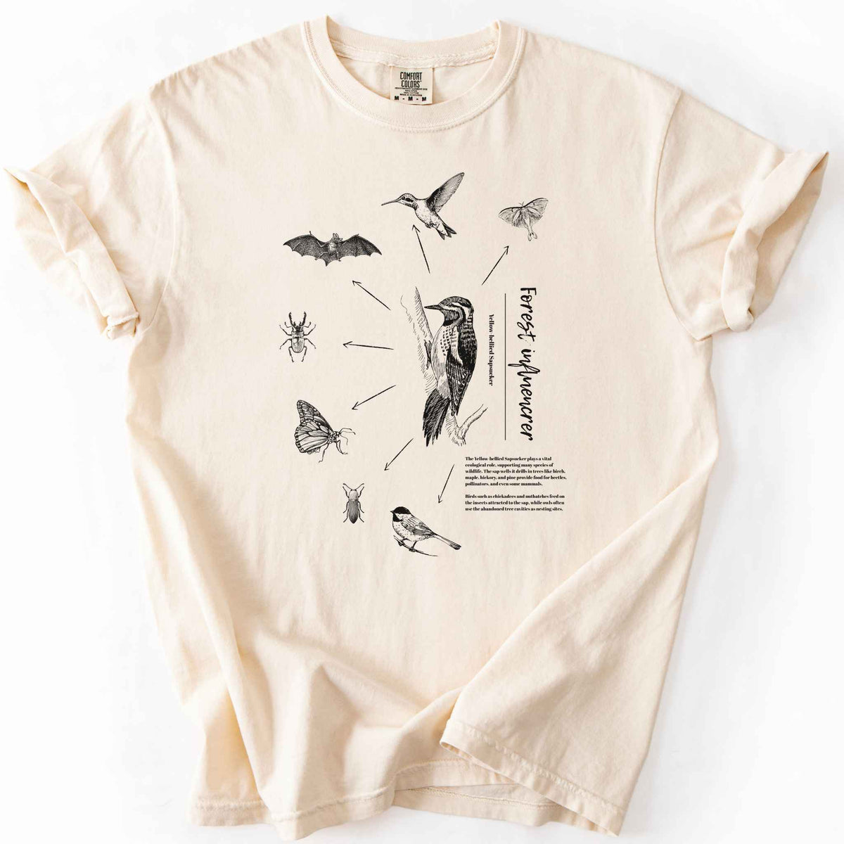 Ivory "Forest Influencer" t-shirt on Comfort Colors tee, featuring a vintage style Yellow bellied Sapsucker illustration surrounded by the beetles, moths, bats, and birds it supports, with educational text detailing its ecological role. Nature lover and birding gift shirt for wildlife and forest ecology fans.
