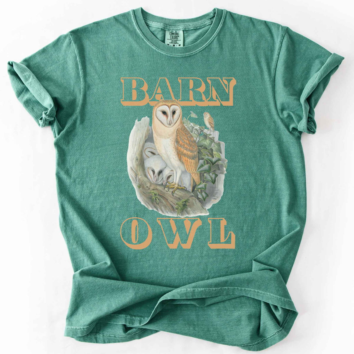 Light Green "Barn Owl" t-shirt on Comfort Colors tee, featuring a detailed graphic of a barn owl with owlets nestled in a tree hollow with ivy, in tan bold lettering. Birdwatcher and owl lover gift shirt for wildlife and nature enthusiasts.