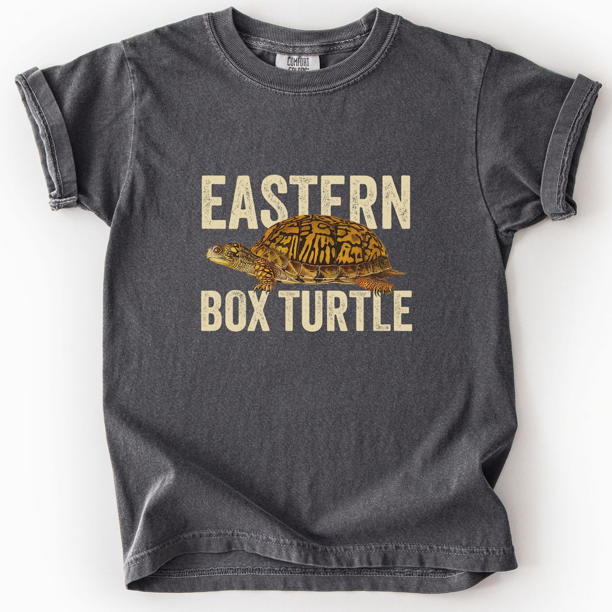 Pepper "Eastern Box Turtle" kids t-shirt on Comfort Colors tee, featuring a detailed vintage style turtle graphic with cream bold block lettering. Reptile lover and turtle enthusiast gift shirt for wildlife and nature fans.