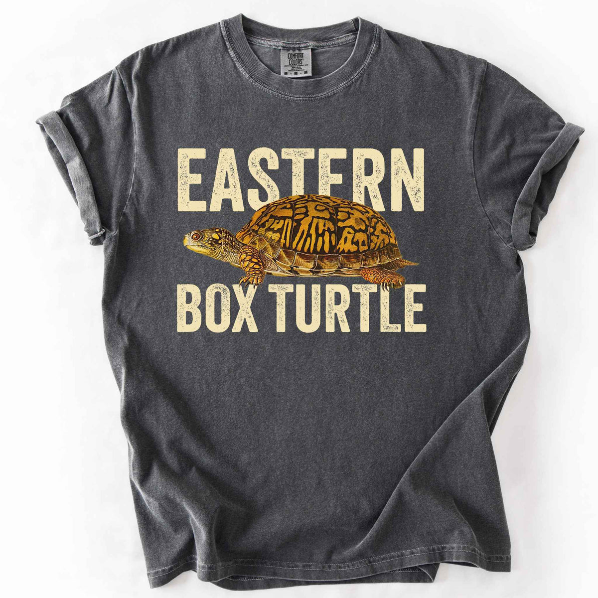 Pepper "Eastern Box Turtle" t-shirt on Comfort Colors tee, featuring a detailed vintage style turtle graphic with cream bold block lettering. Reptile lover and turtle enthusiast gift shirt for wildlife and nature fans.