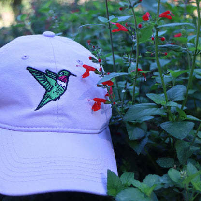 Hummingbird Hat