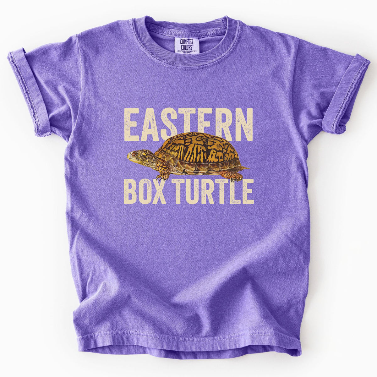 Violet "Eastern Box Turtle" kids t-shirt on Comfort Colors tee, featuring a detailed vintage style turtle graphic with cream bold block lettering. Reptile lover and turtle enthusiast gift shirt for wildlife and nature fans.